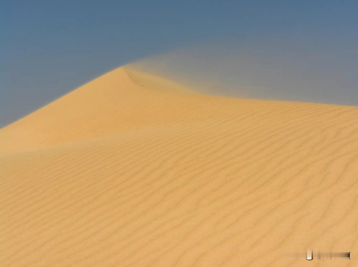 快来看看我新换的主页背景吧