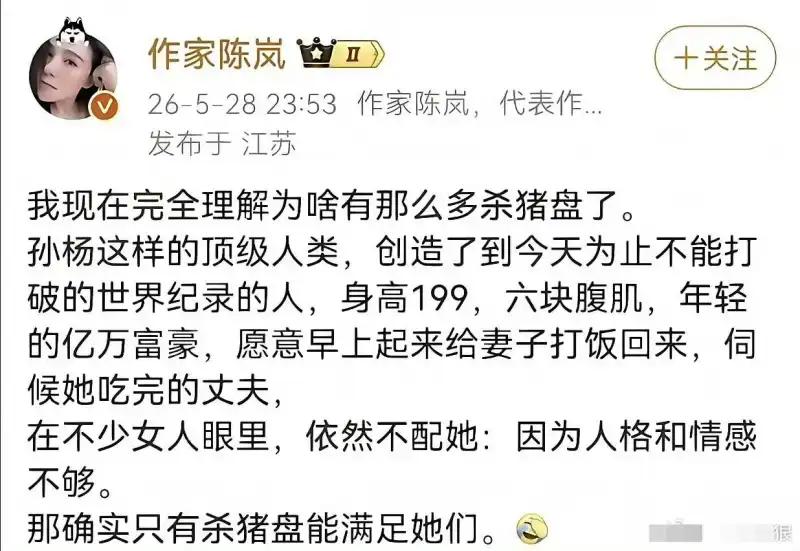 这是网络博主“作家陈岚”发布的一条社交动态截图，发布于2026年5月28日江苏，