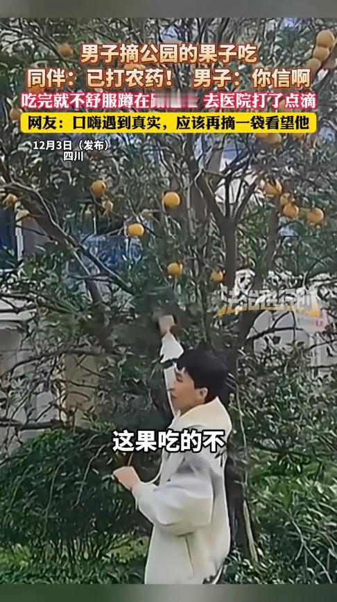 “胆子真大！”近日，四川，一男子和朋友逛公园时，见树上的果子已经成熟，就摘了一个
