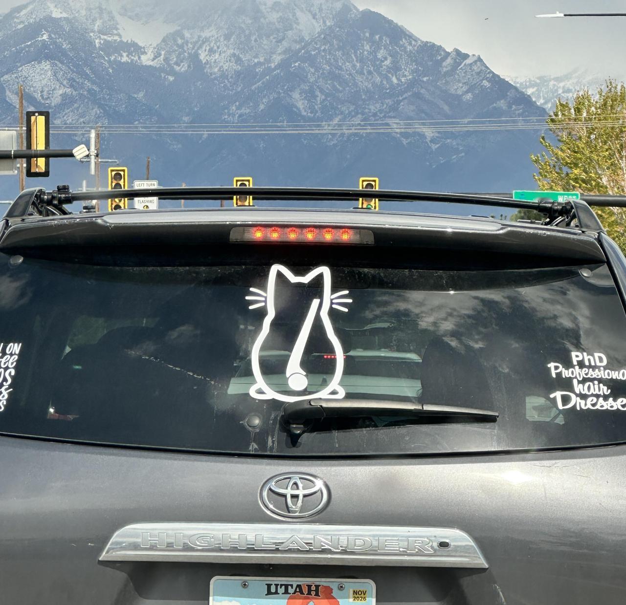 这是一辆后窗贴着猫形贴纸的汽车，但车主把本该对准雨刮器的“尾巴”贴纸贴在了猫的前