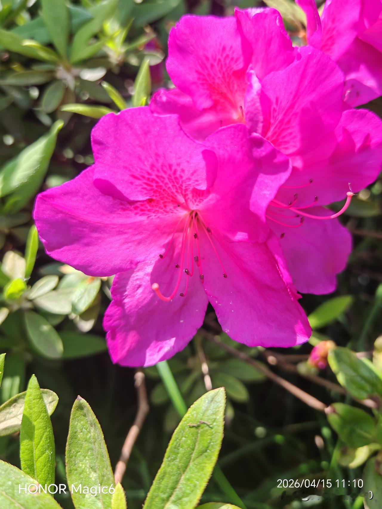 每一次花蕊的颤抖，都是在传递风的诉说；
每一片落叶的盘旋，都是在回应大地的呼唤。