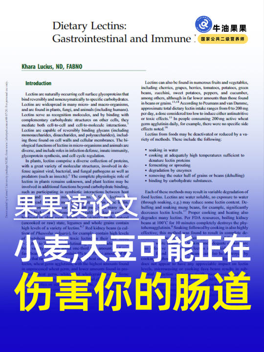引起肠漏的“元凶”之一——植物凝集素