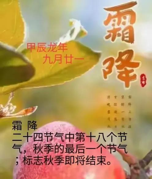 天寒霜已降
今天2024年为10月23日，甲辰年九月廿一日，6时14分32秒，霜