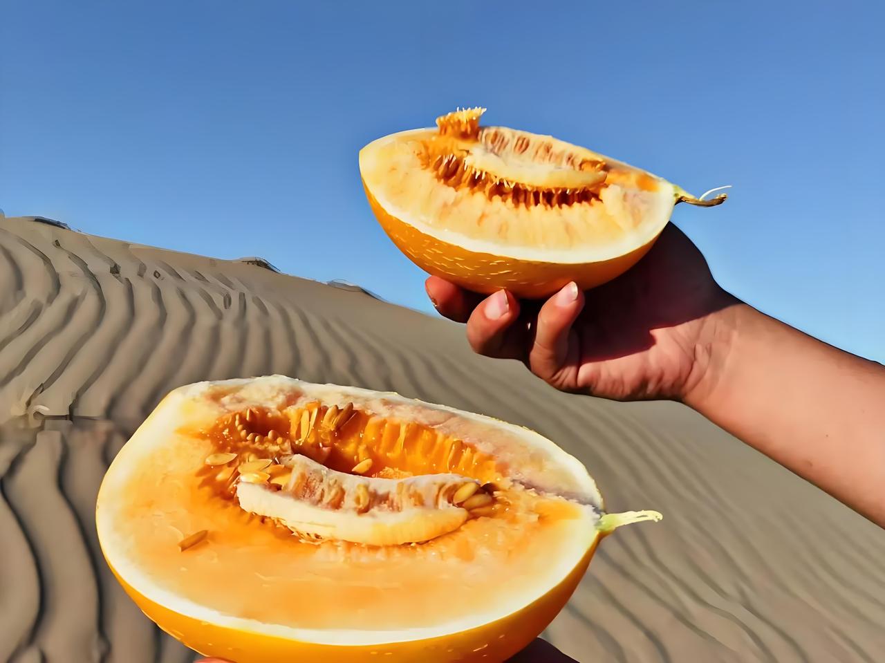 沙窝窝里的甜心

我住的地方，风沙大，地也干，水更是金贵。门前摆着的那只粗陶罐子