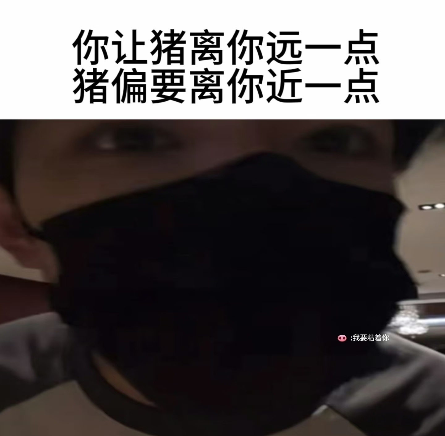 猪猪 ​​​