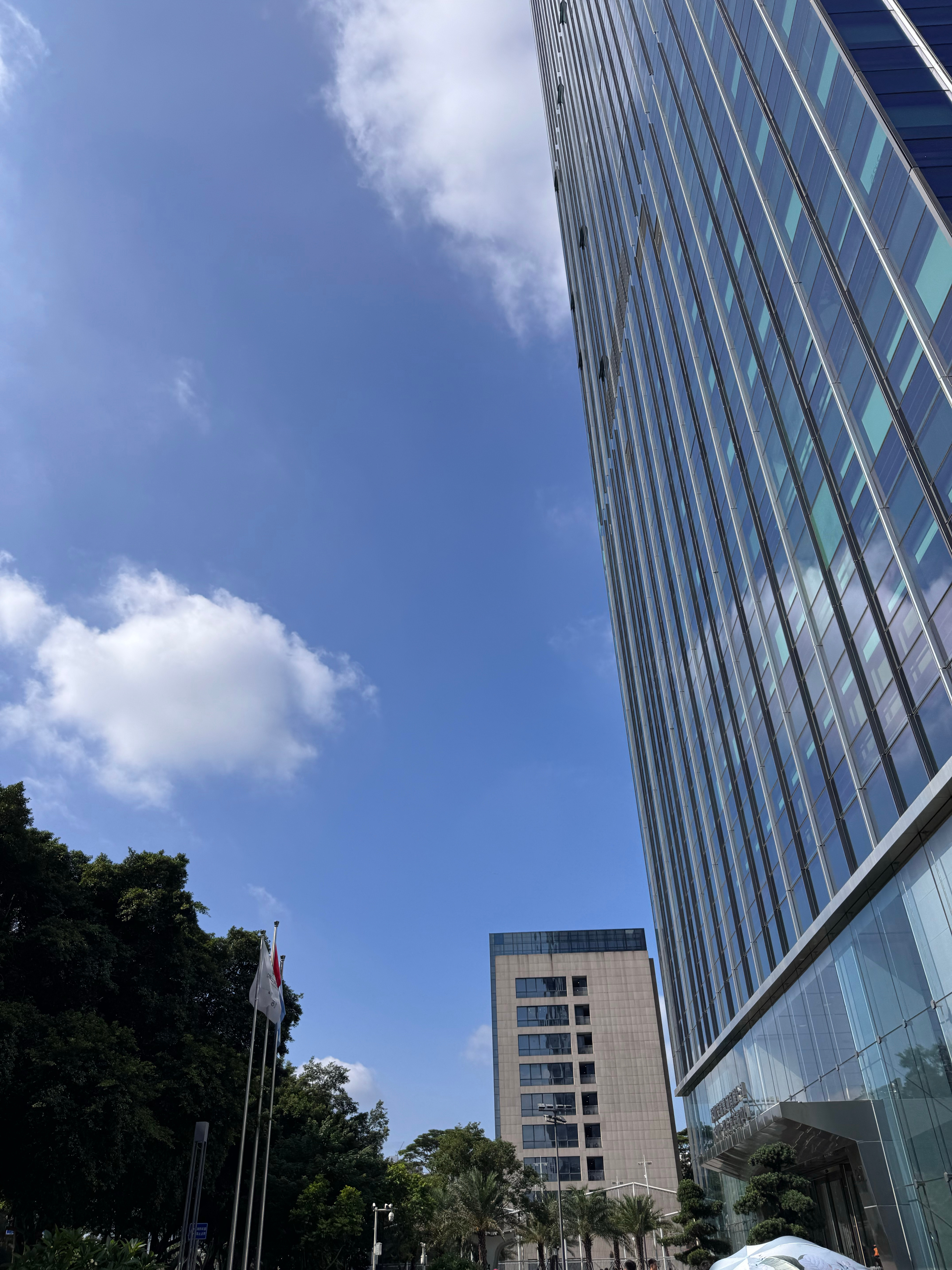 深圳上一次蓝天白云是什么时候[干饭人] ​​​