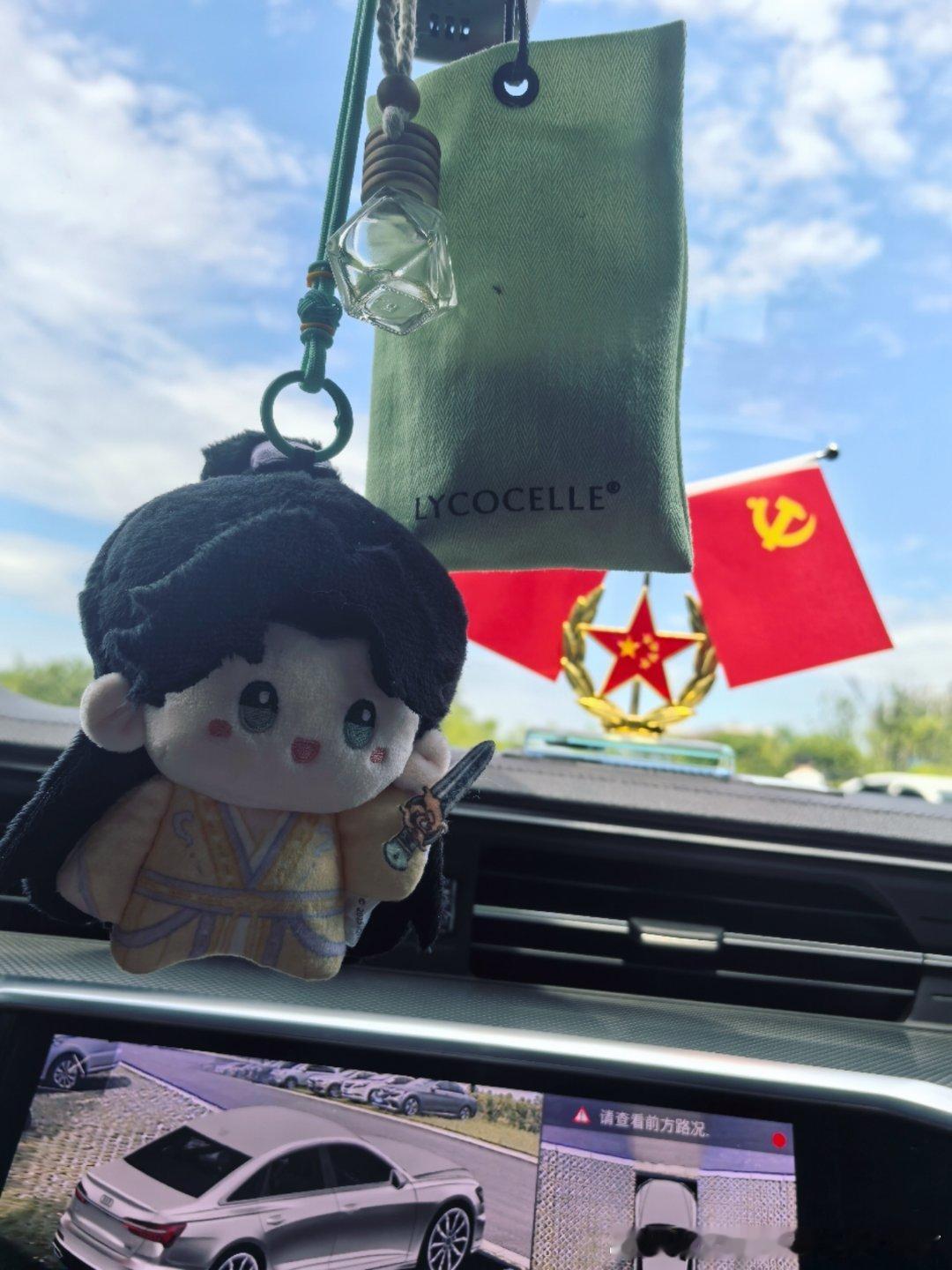 不知道是不是上了年纪，现在真的很怕去医院，湫湫宝宝陪我走一趟吧 ​​​