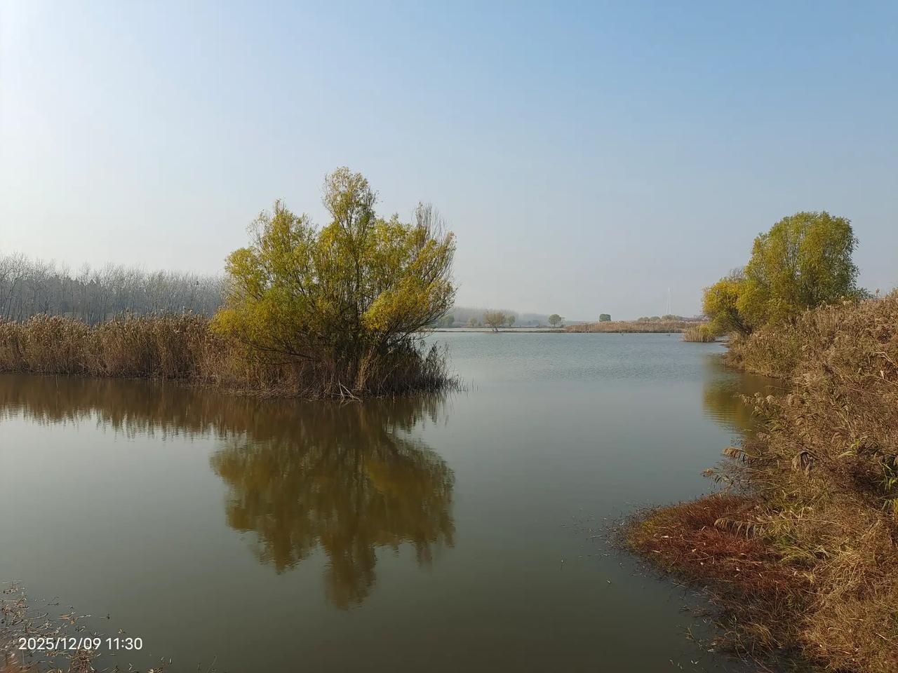 这是青山湿地公园里的鱼塘，江水上涨的时候，鱼儿会跑进来，在这里钓鱼一般不会当空军