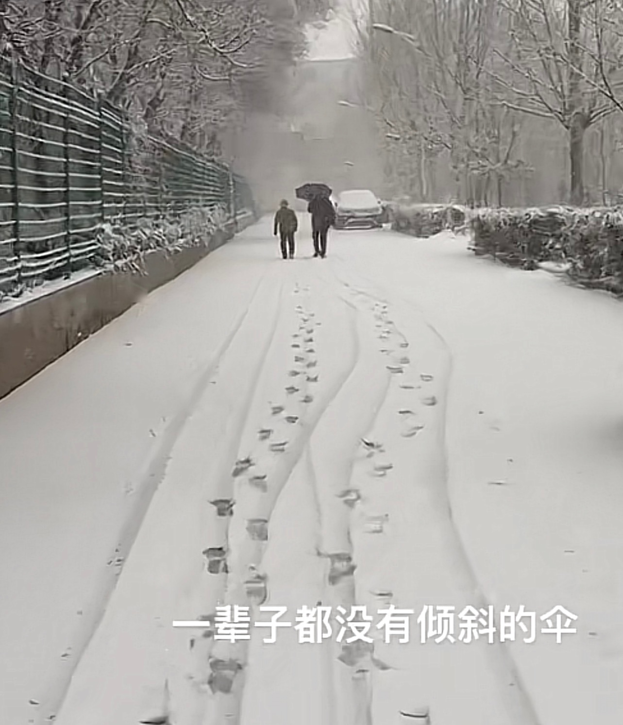 爱是一把会倾斜的伞而这把伞一辈子都没有靠近她#新年快乐漫游指南# ​​​