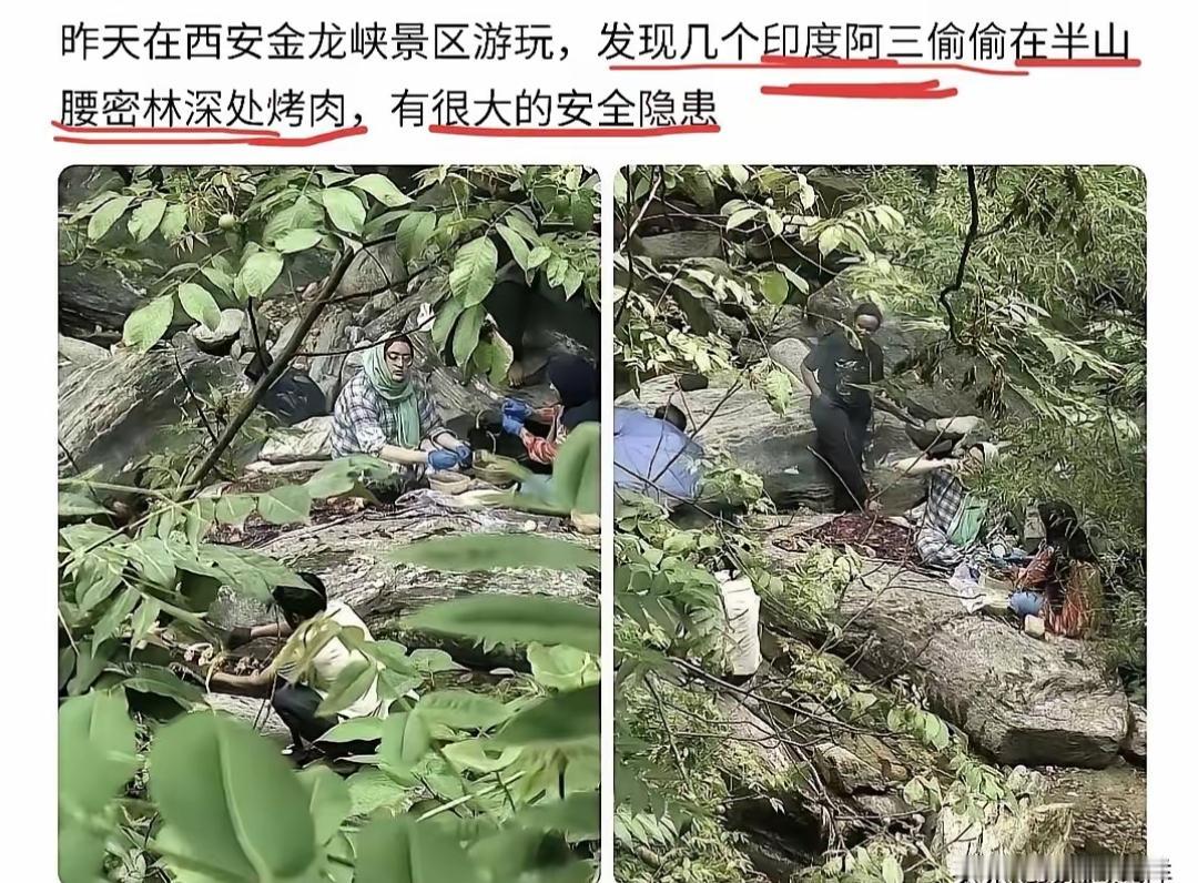 几名印度籍游客躲进西安金龙峡半山腰的密林深处，偷偷生起明火烤肉，专挑枝叶遮得严严