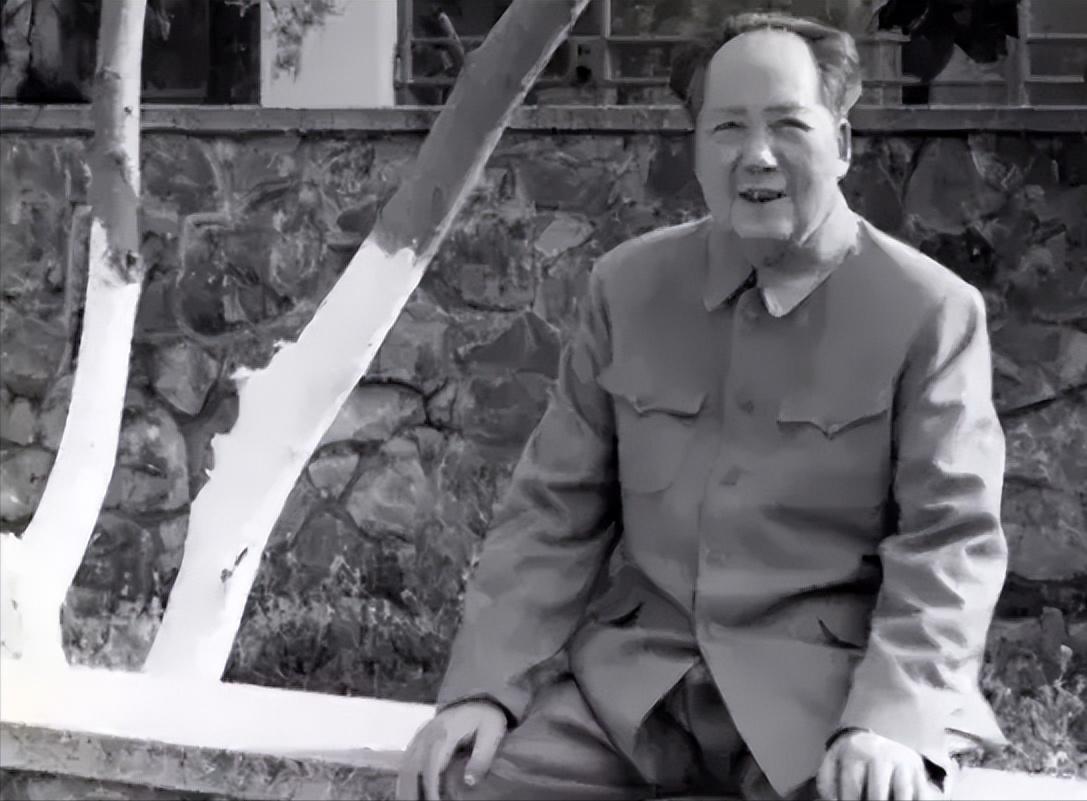 骂声里的匾
一九四一年夏天，陕甘宁边区清涧县，一场罕见的雷雨倾盆而下。
农妇伍兰