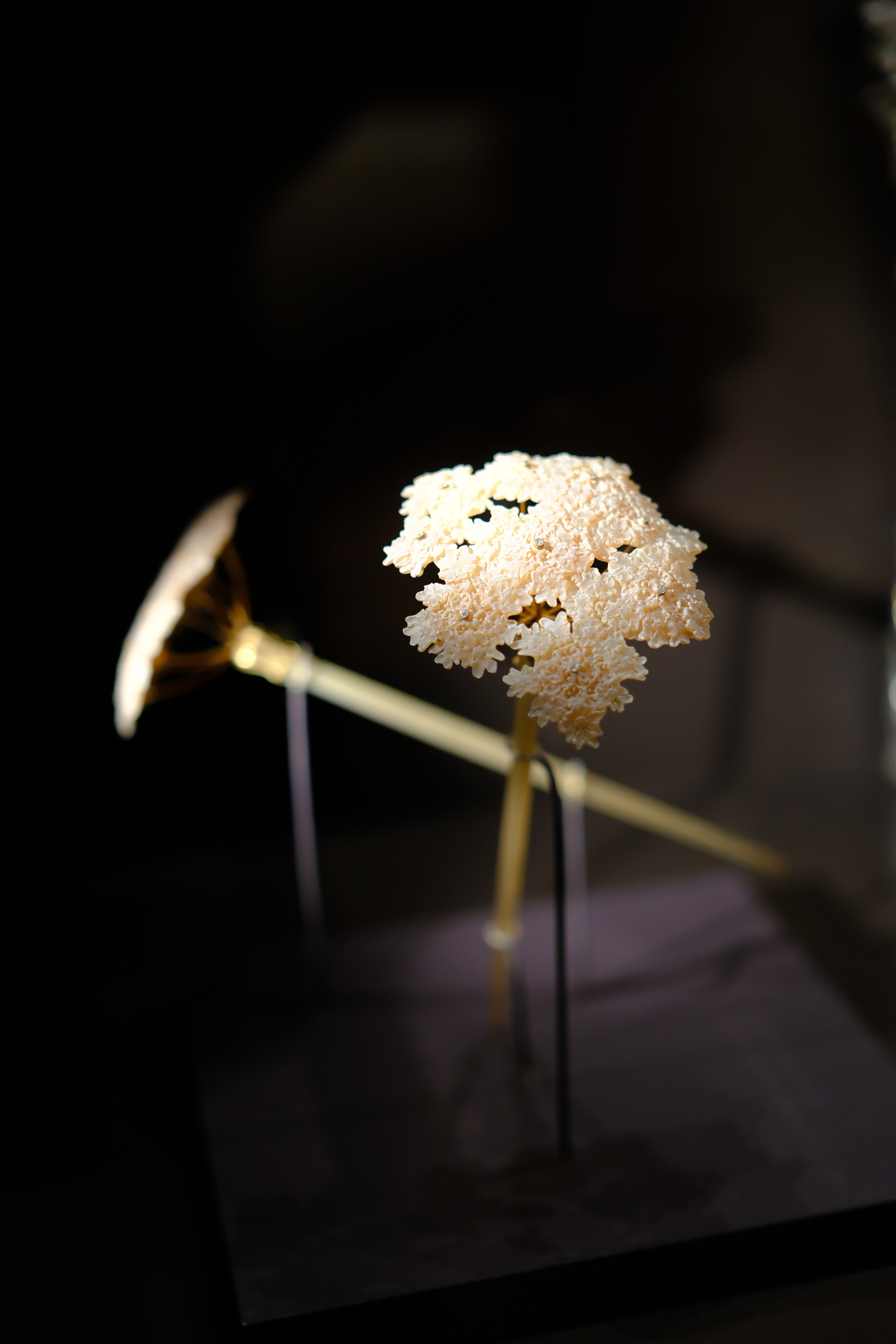 一些花的艺术~ 你都认得出是什么花？ 摄于法国巴黎 奥赛美术馆 
