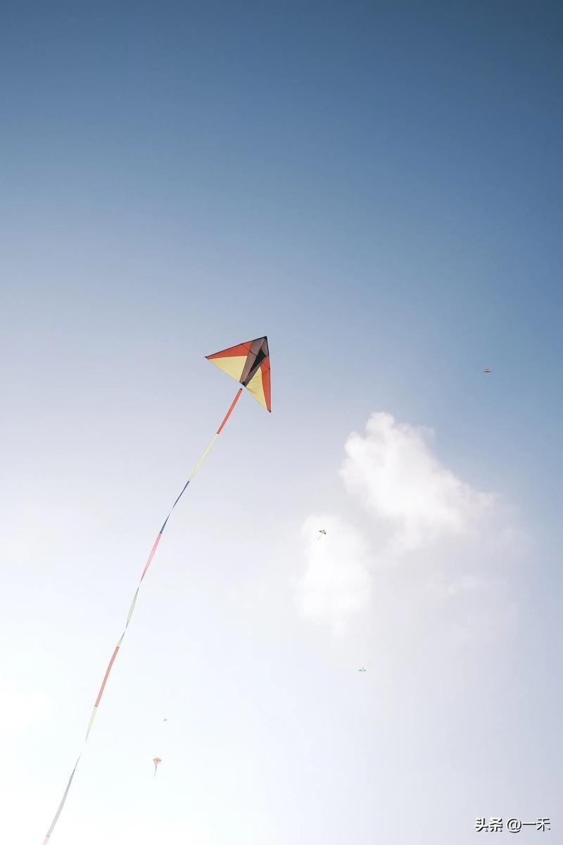 春天放风筝，这根线竟是隐形利刃，已有人割喉缝21针
 
家人们，春日放风筝超惬意