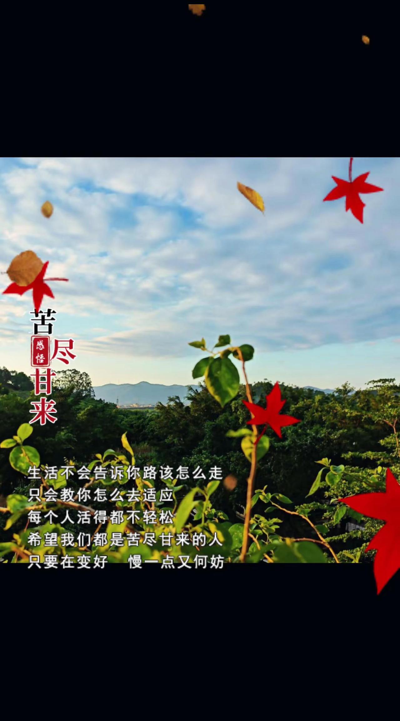 记录山顶的独特植物