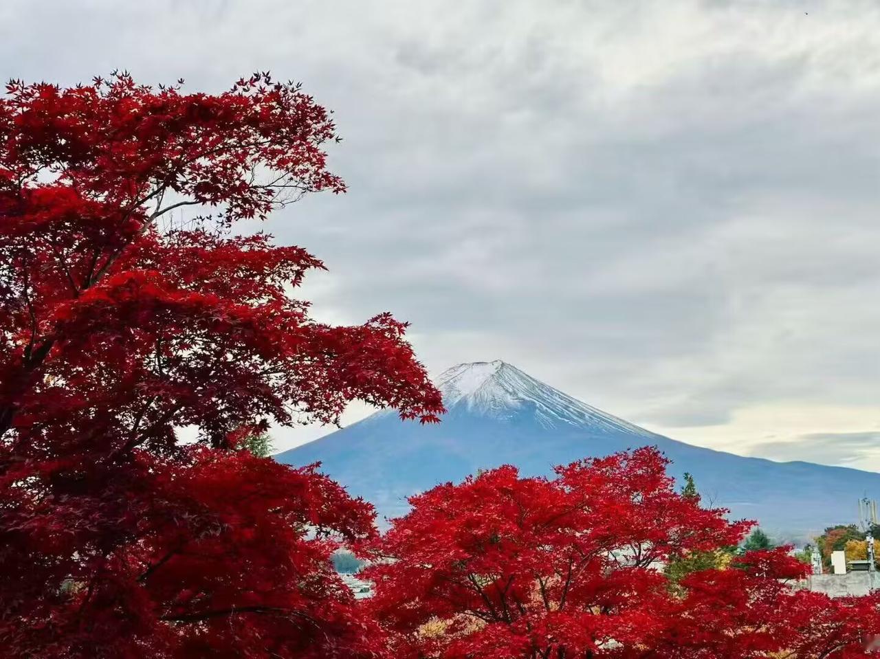 品鉴上汽旗舰大六座智己LS9