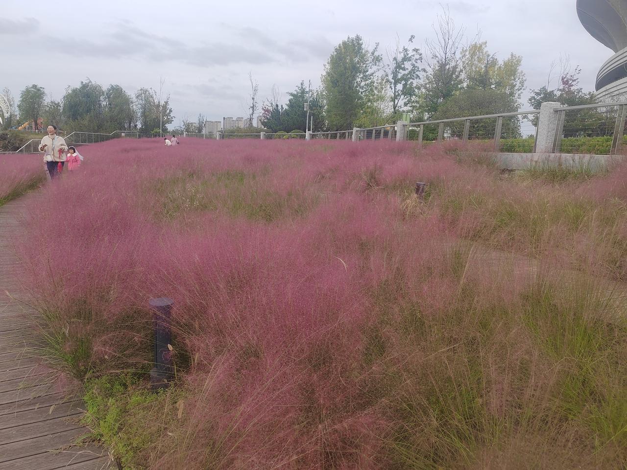 秋天越来越冷了，阳光越发的珍贵。