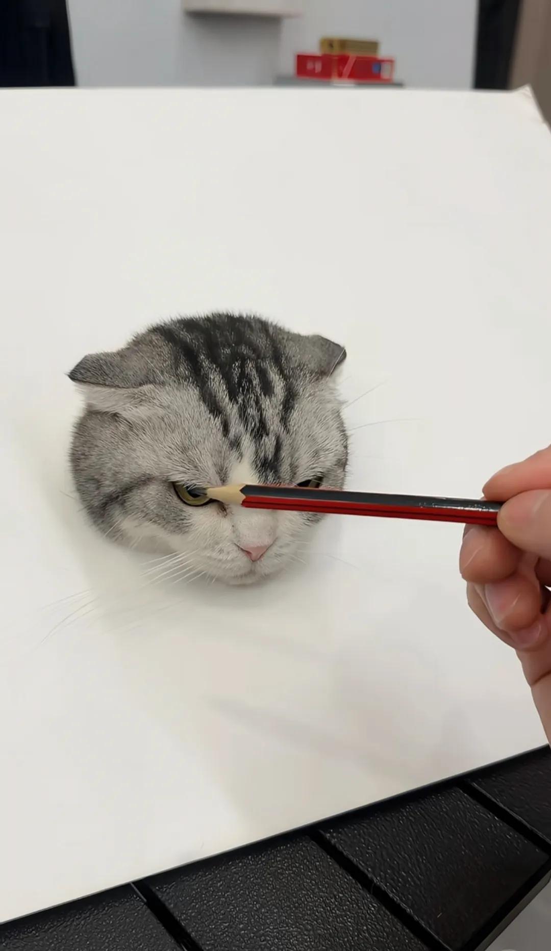 张大千看了我画的猫都得说声“牛B”！