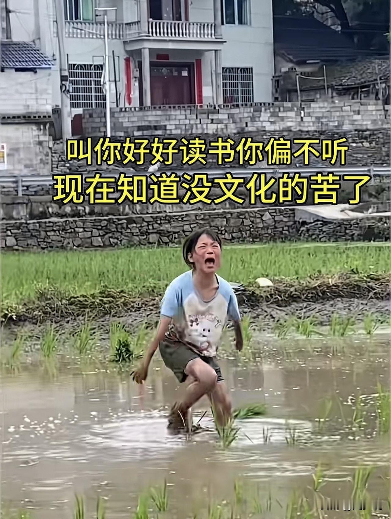 笑哭！网上刷到的一个视频，这位小女孩不努力读书，被父母叫去农田插秧，结果干的直接
