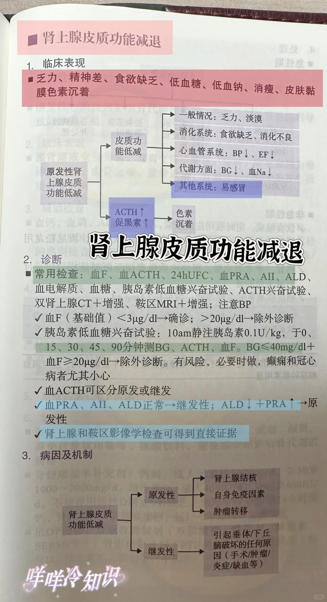值班遇到肾上功能减退