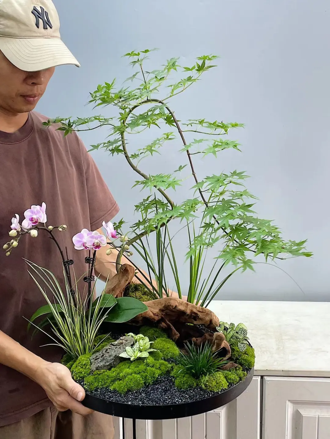 蝴蝶兰组盆培训｜中式组景
