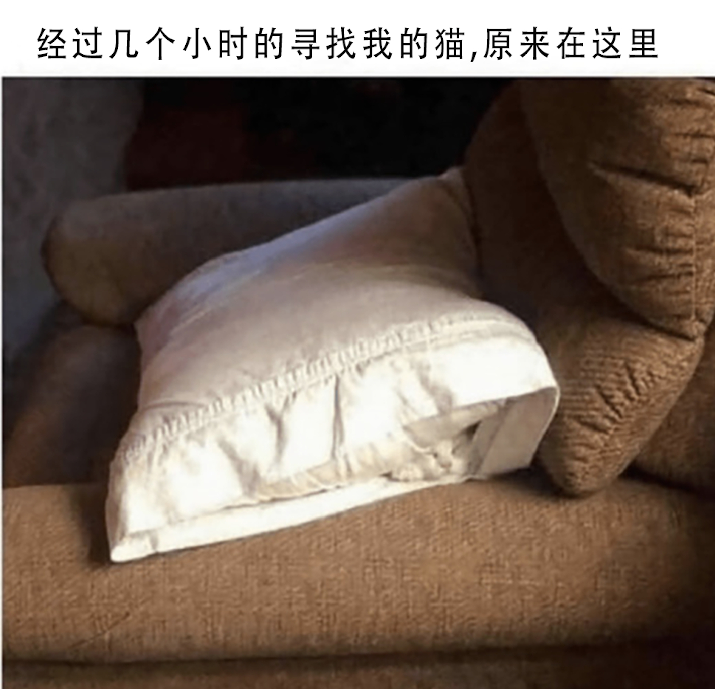 原来在这里#meme# ​​​