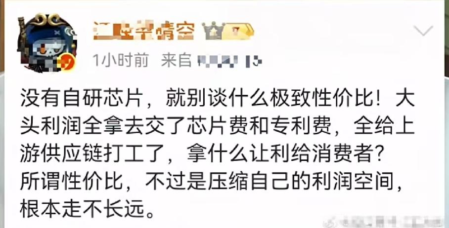 某个博主说：没有自研芯片，就别谈什么极致性价比！大头利润全拿去交了芯片费和专利费