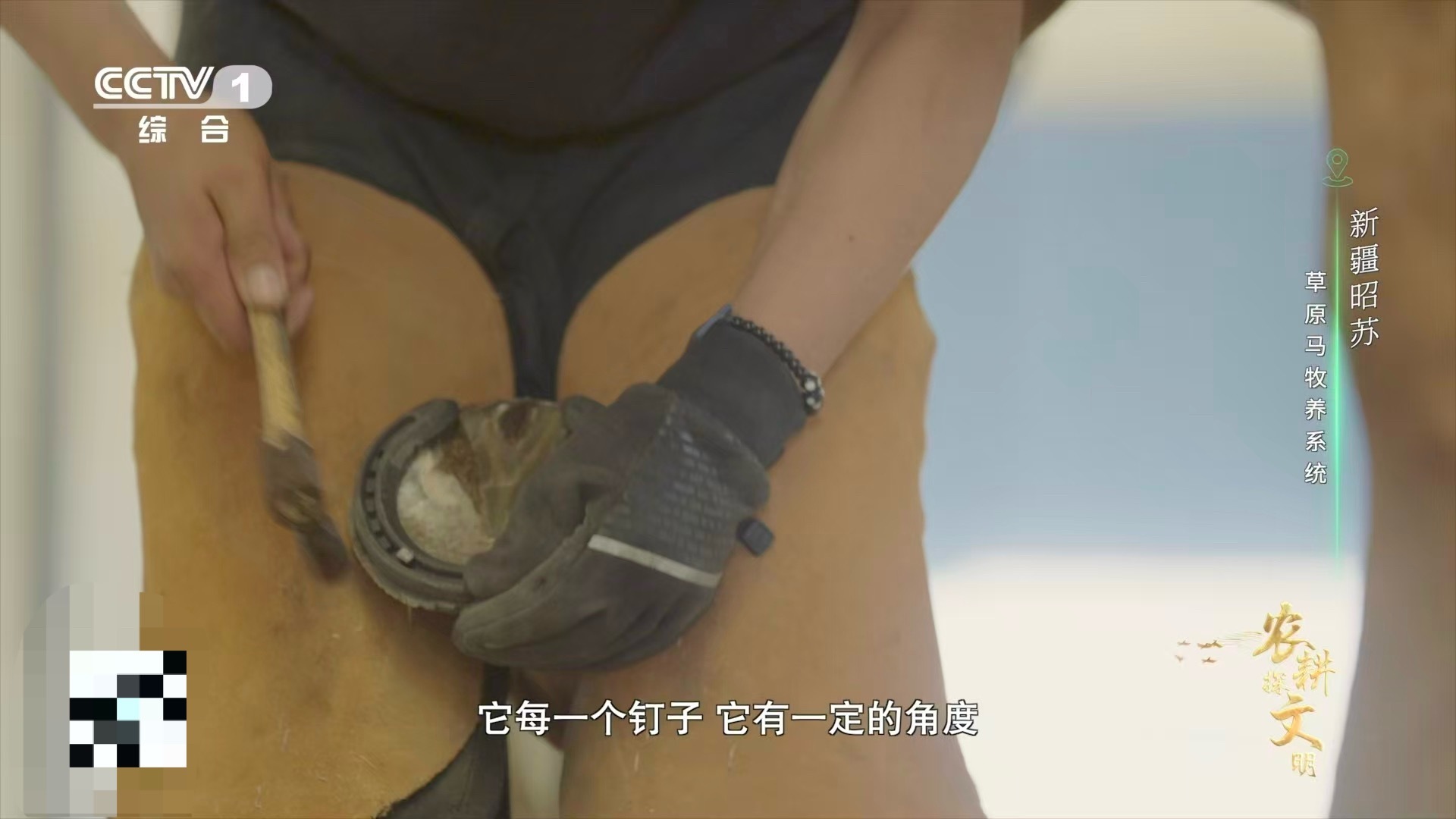 马蹄健康，始于足下！钉蹄师为运动马定期更换蹄铁，防止蹄病与跛行。每一次精准的“穿