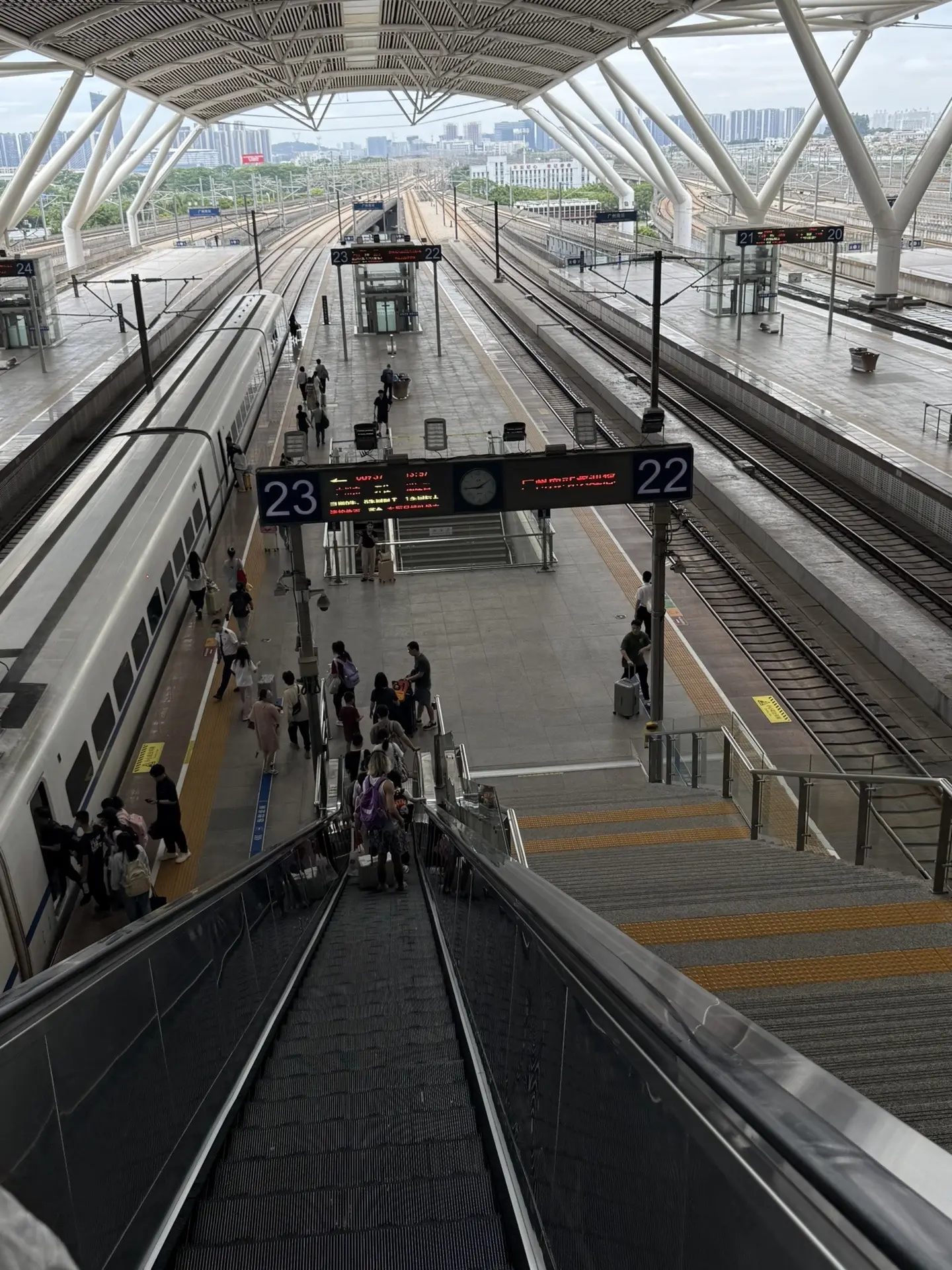 你愿意跟我回雷州吗 我愿意用我全部的人脉和资源让你吃上最好吃的生蚝