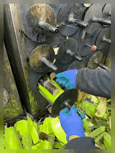 烤甘蔗谁吃过？🤔