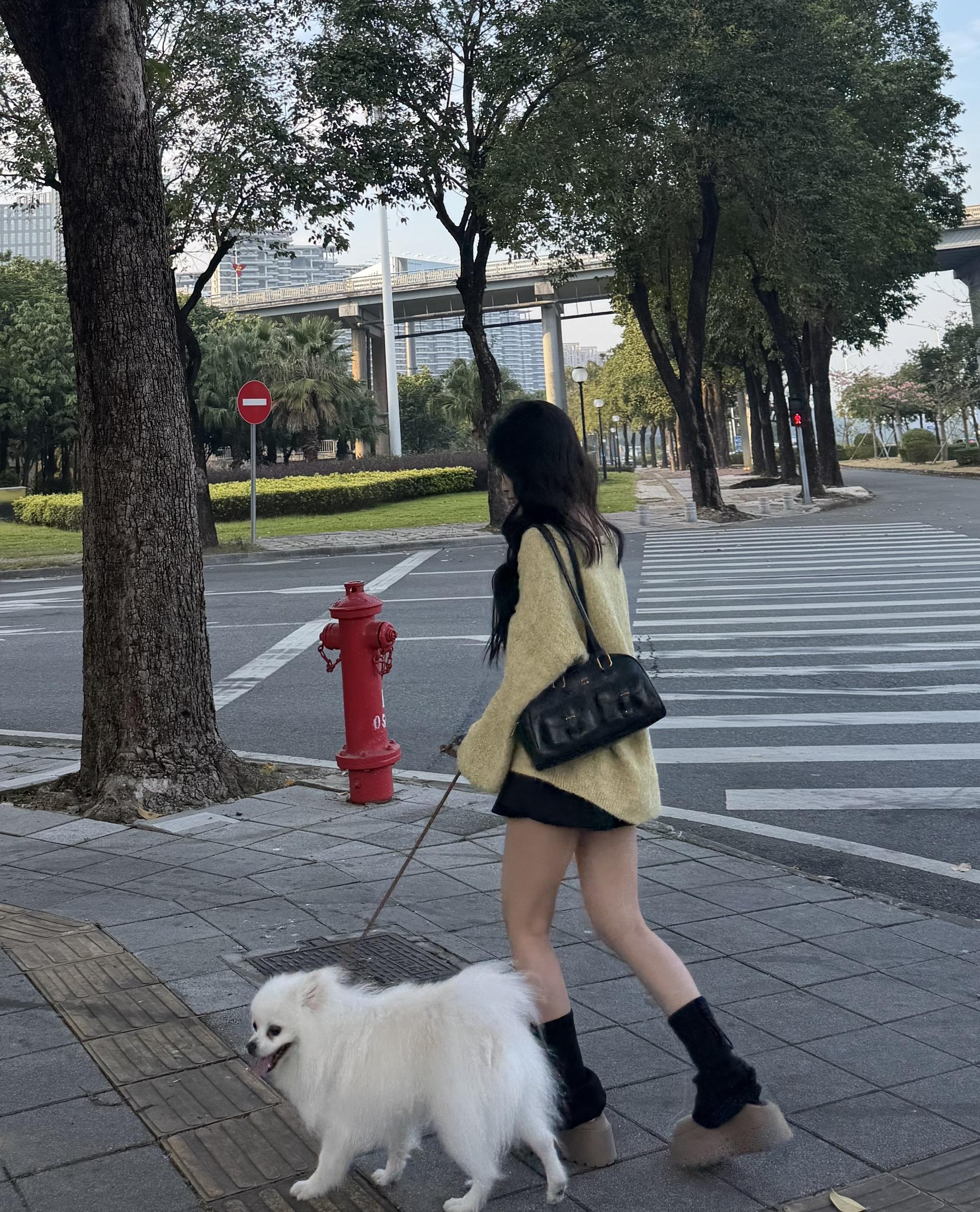 像春天 也像秋天