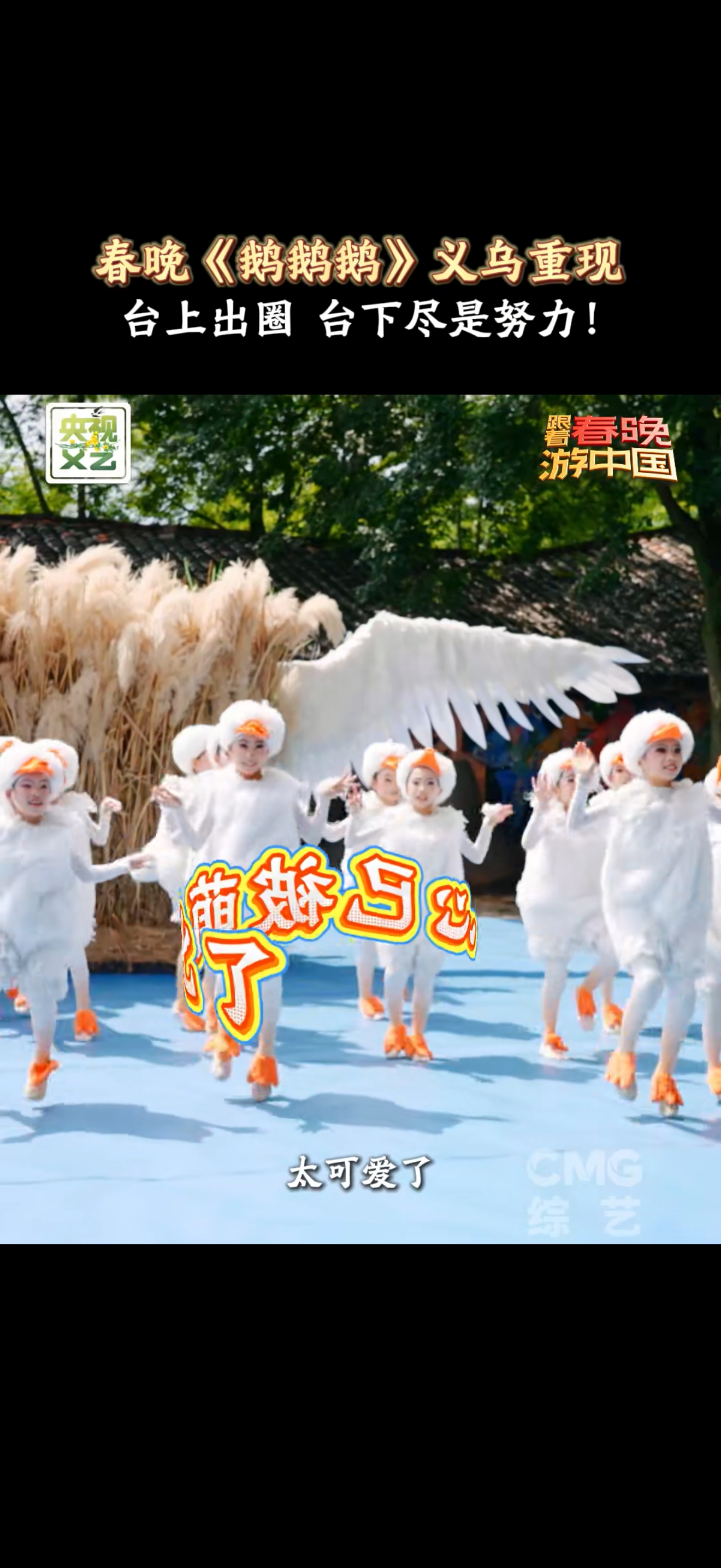 义乌小天鹅们再现春晚舞台朱迅王耀庆被义乌小鹅们萌翻了跟着春晚游中国 春晚舞台闪闪