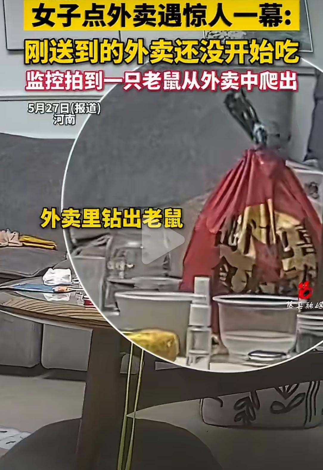 河南一女子点外卖，放桌上转身带孩子洗手，回来竟看到一只老鼠从袋子里爬出。调监控确