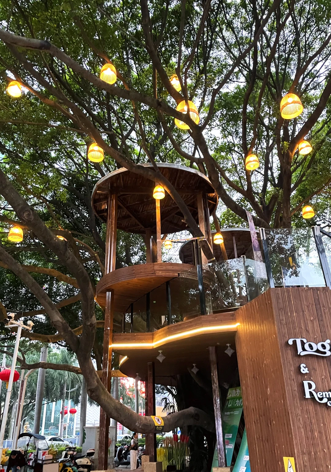 区图书馆旁的显眼包咖啡树屋，要成为顶流？