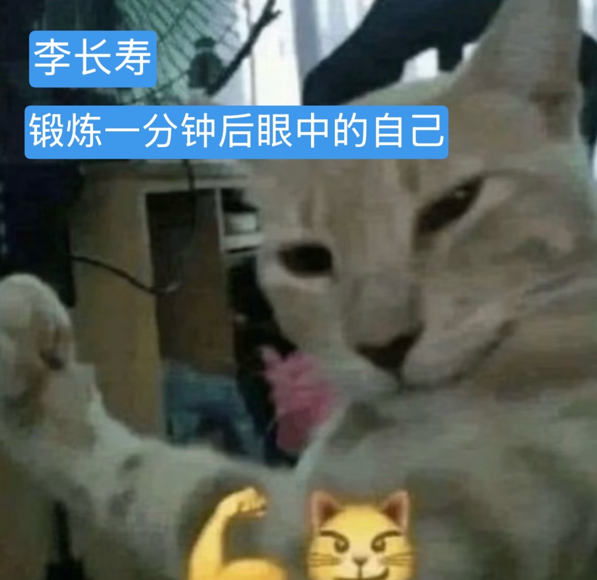 几张meme看懂前五集的李长寿师兄太稳健