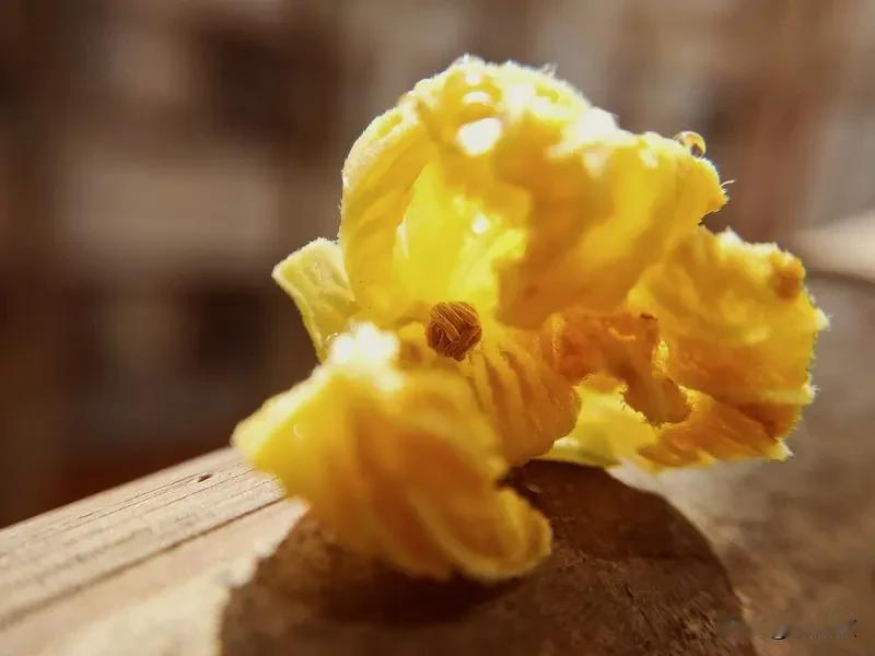 干丝瓜花蜂蜜水，肺热黄痰一口缓解
上火咳嗽、嗓子肿痛，一咳就吐出黄浓痰，连喘气胸