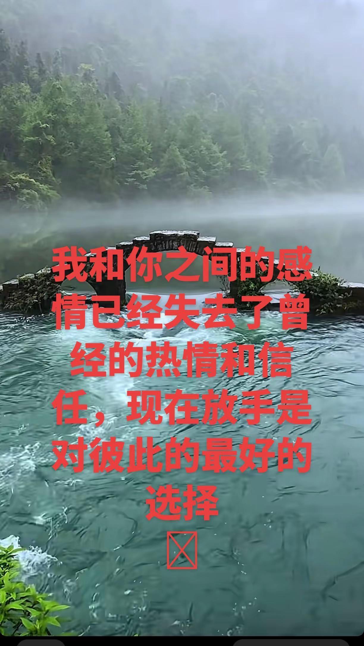 我和你之间的感情已经失去了曾经的热情和信任，现在放手是对彼此的最好的选择。我想