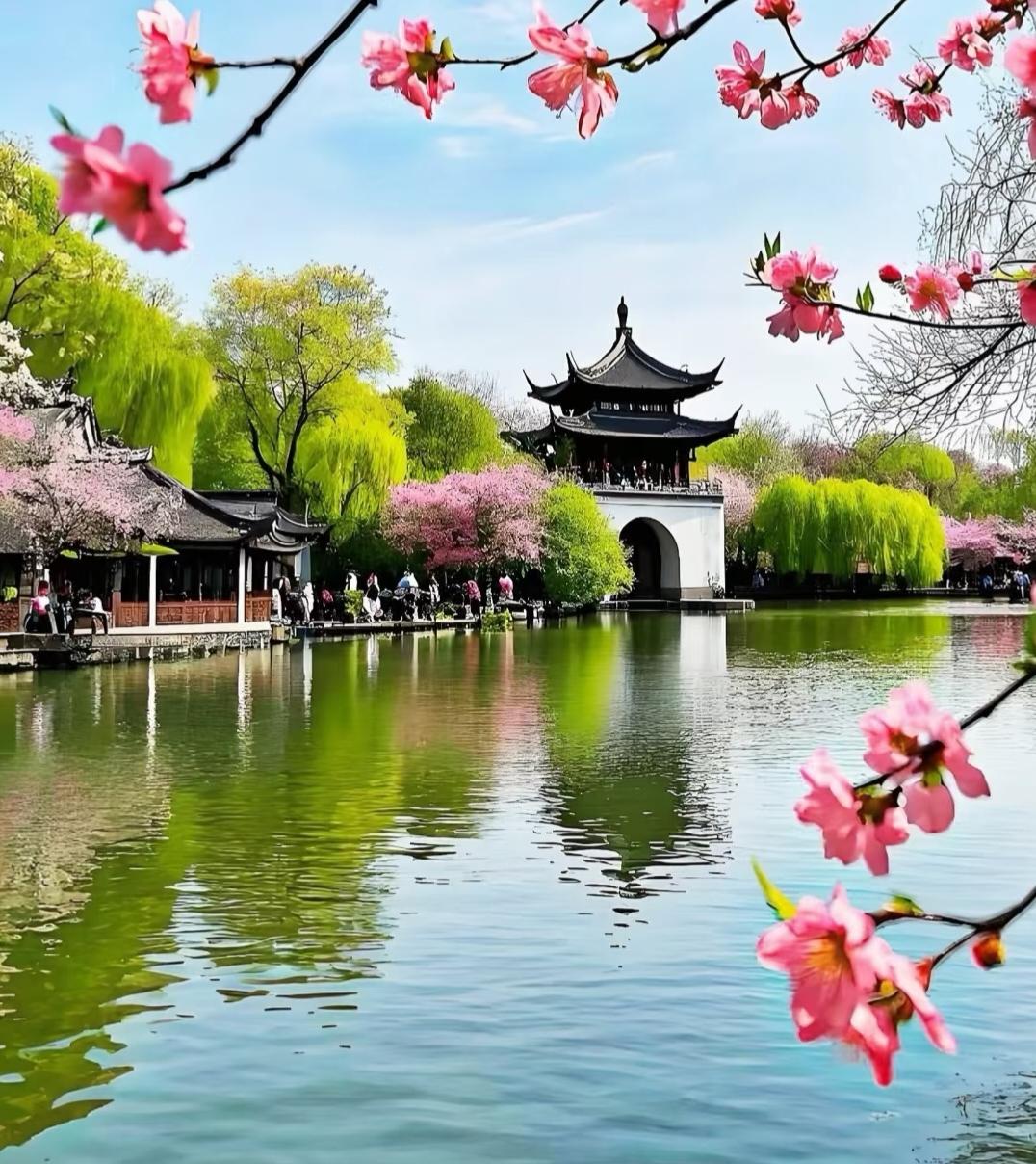 晒晒你拍过的春景