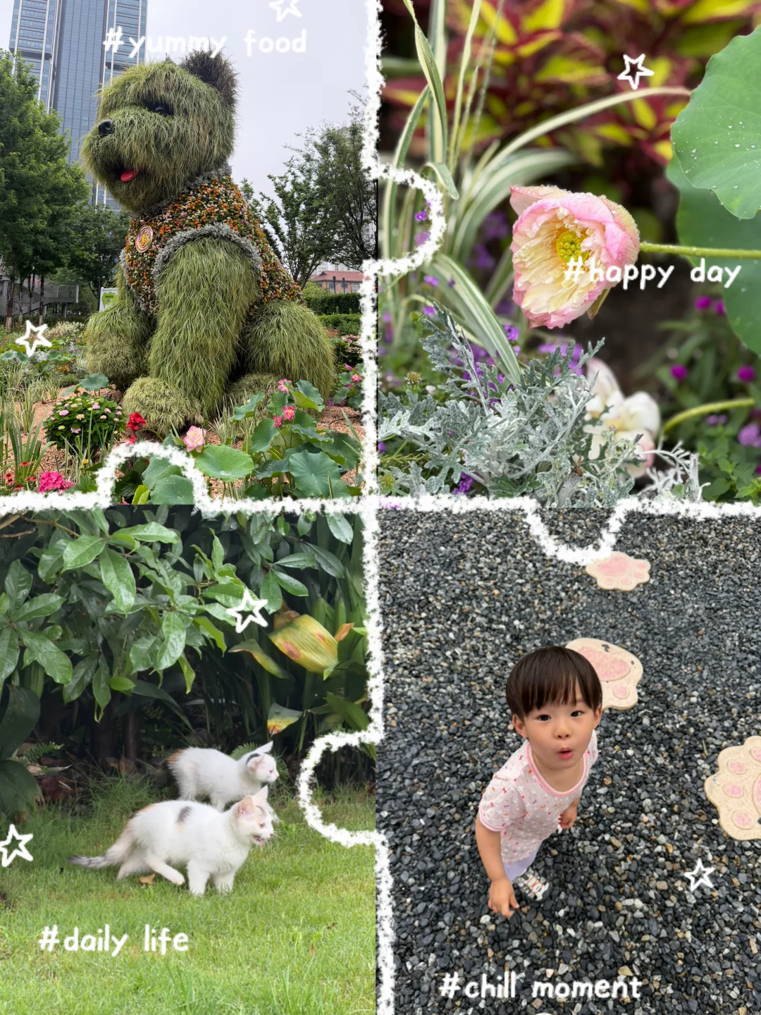 潦草小狗换夏装啦～～～