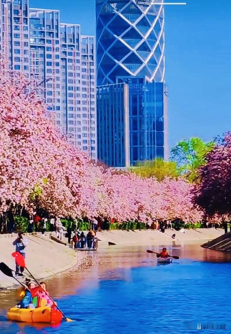 原创诗词 每日一诗 京城花海
＿＿＿郭赋林（釜麟）

东风送暖京城花，
千树繁花