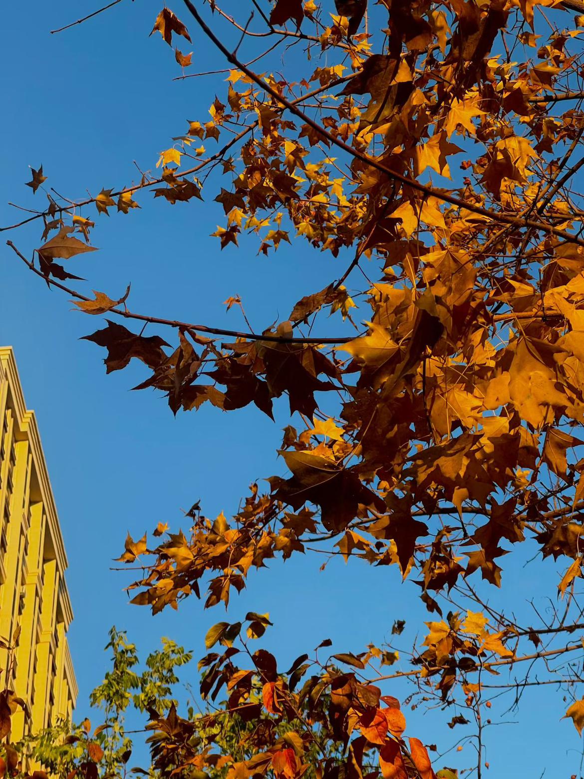 我的今日状态：😎自信酷炫
我这里的天气：☀️晴天