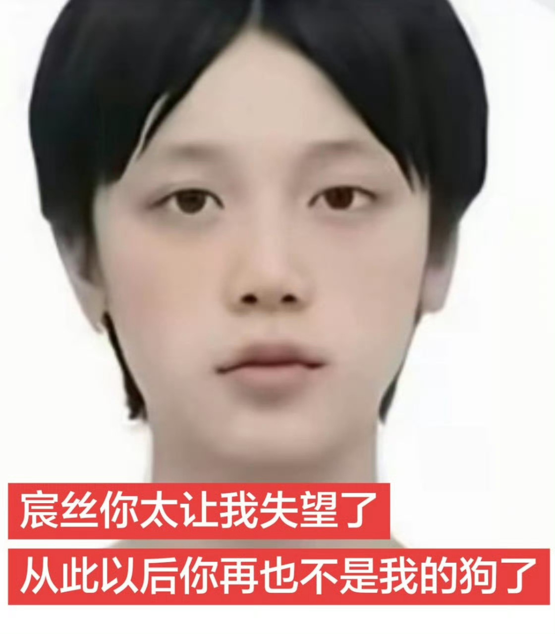 萌得要死啊…一只猪 