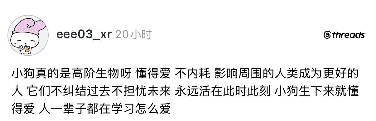 今天看到的