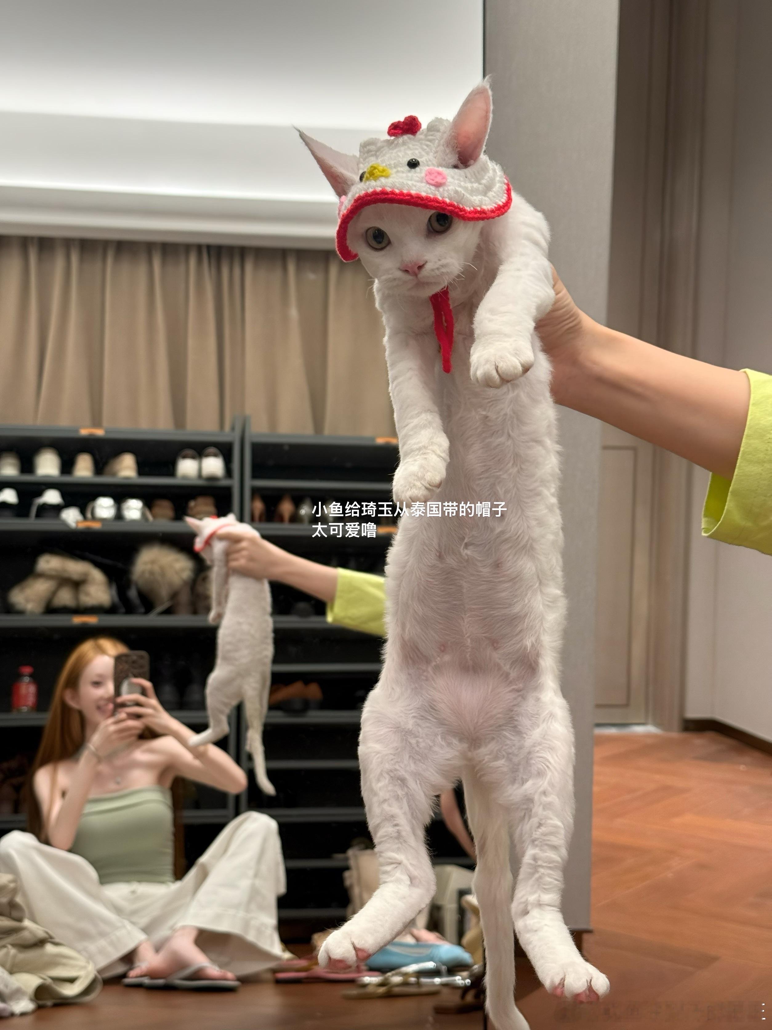 胡三元太苦了 一定都去看《主角》这个剧，看得我心好揪得慌，今天在沙发上一边修图一