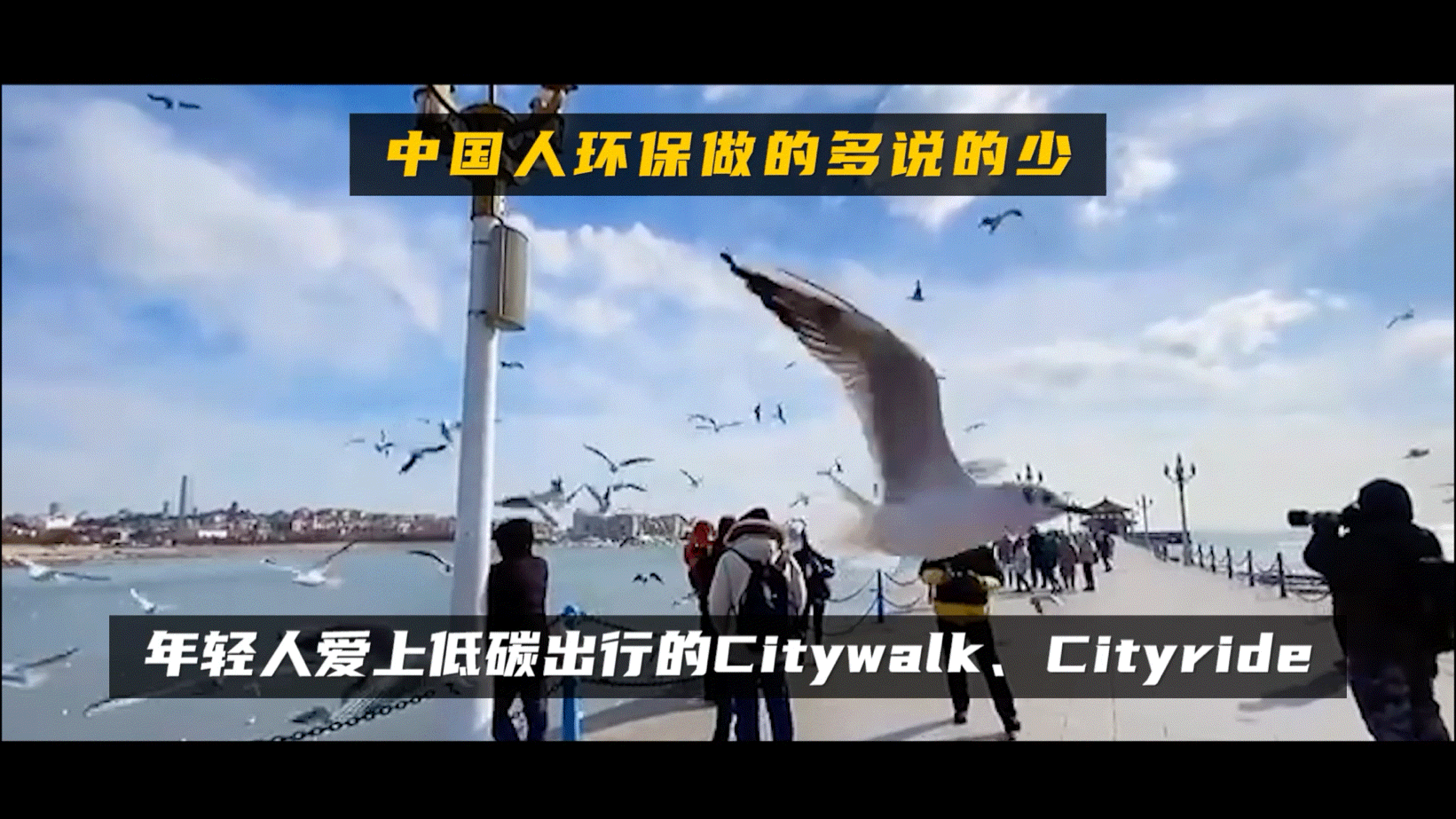 给大家简单做个小科普，“低碳生活”就是指减少二氧化碳的排放，低能量低消耗低开支的