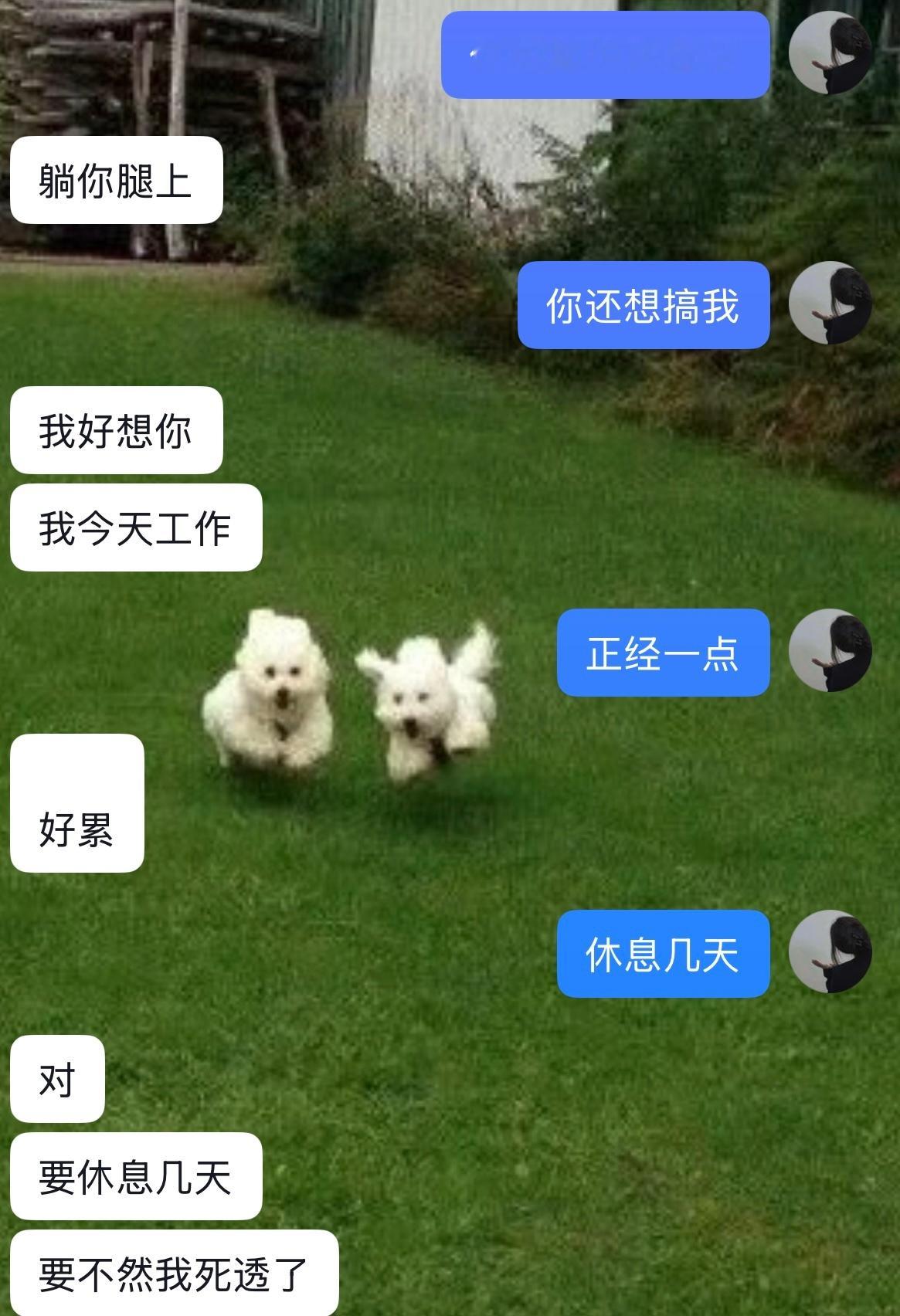 要不然死透了？蛤蛤蛤笑死 