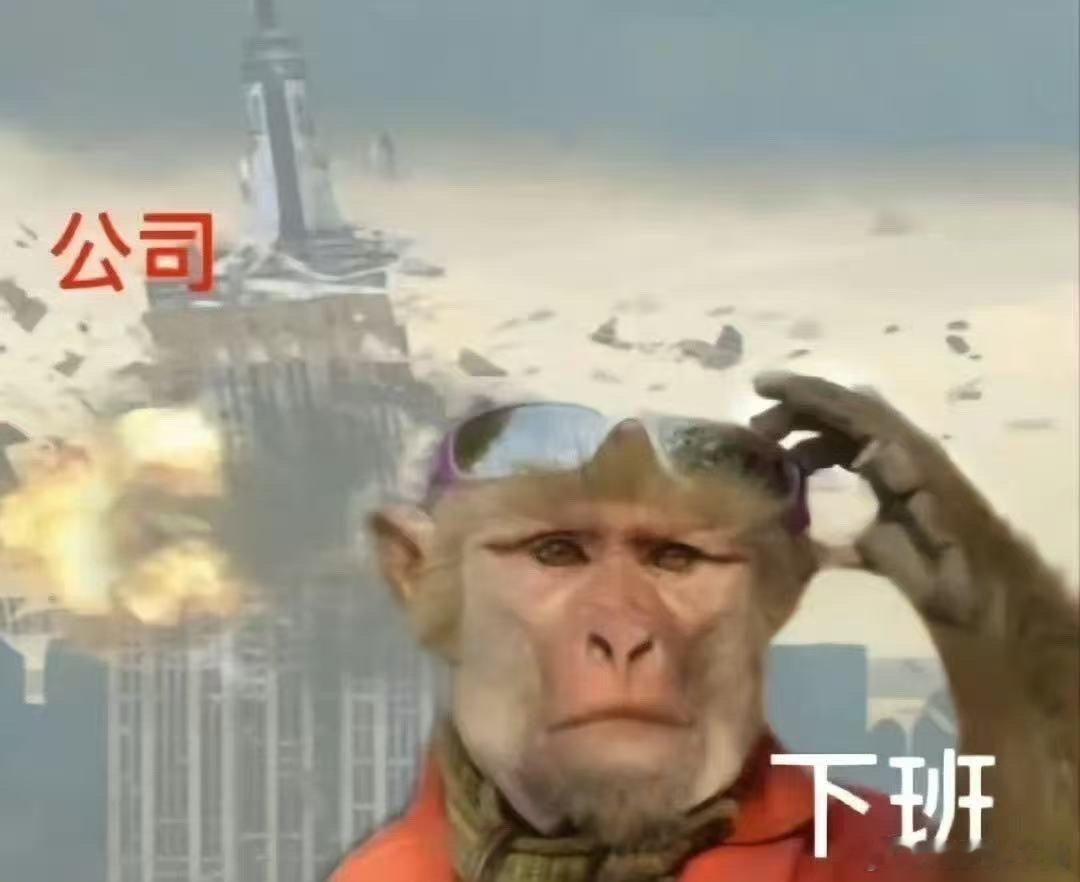 最尊重猴的剧组出现了很少有喜剧会认真对待动物演员，年会2片尾清晰标注猴子出演，这