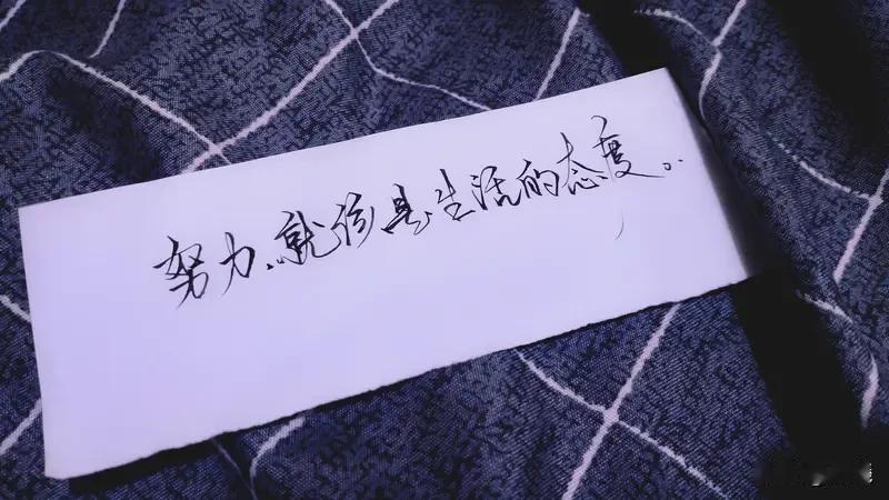 有人说“努力必定成功”你赞同吗? “努力必定成功”，我可不买账。努力确实重要，像