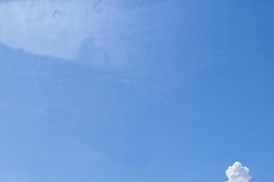 今天是大雪节气，北京赶上冷空气活动，大风蓝色预警还在生效。下半夜那风吼得，跟猛兽