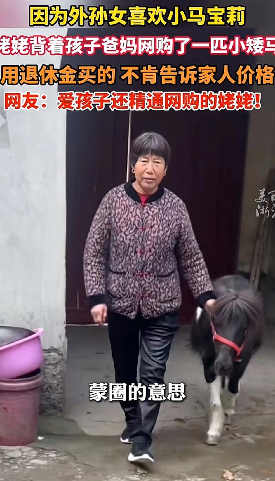 外孙女喜爱“小马宝莉”，姥姥便瞒着家人，网购了一匹身高七十厘米、年仅4岁的矮马。