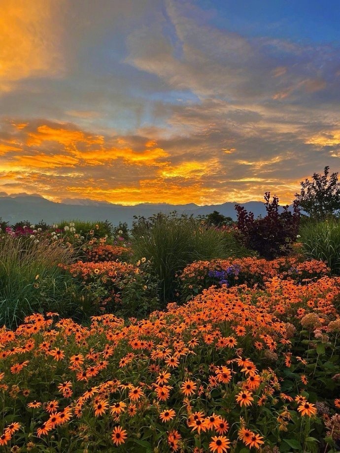 今天应该不会杀溢价了，还回来半个点一个点的要吧？ 